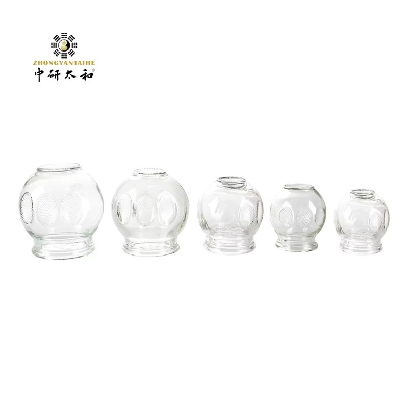 ZHONGYAN TAIHE 12 PCS/1 SET Gl - Cupping Therapy Set ulasan dan harga