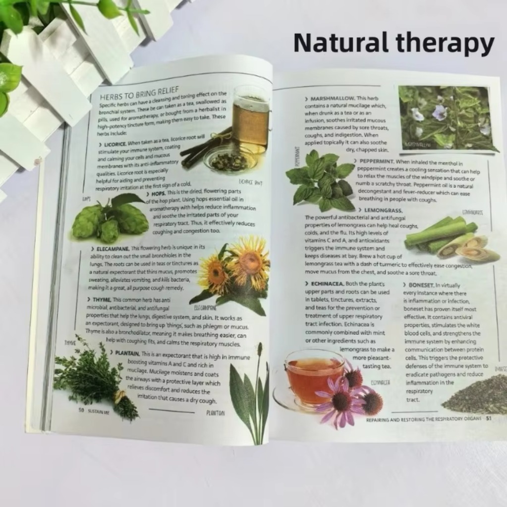 Sustain Me Barbara O'Neill A H - Health Wellness Guide ulasan dan harga