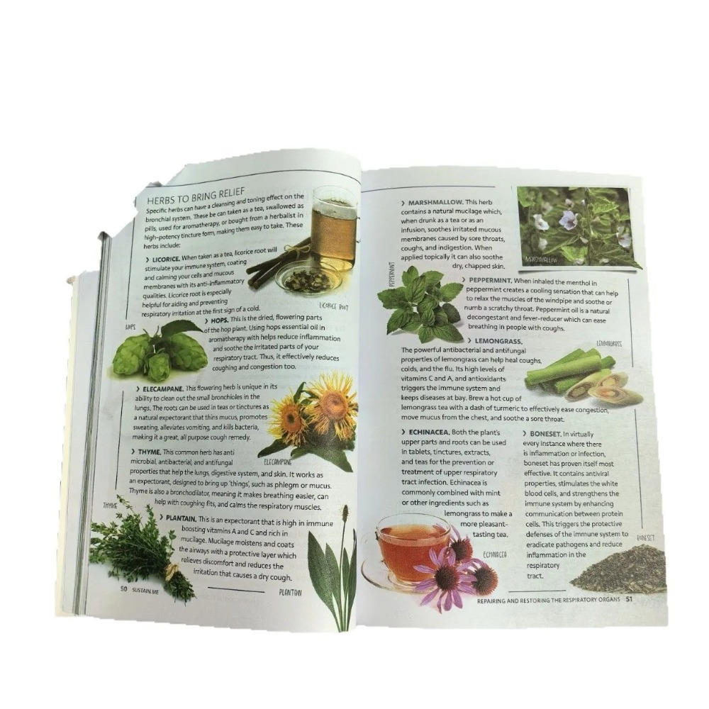 Sustain Me English Paperback B - Health Wellness Guide ulasan dan harga