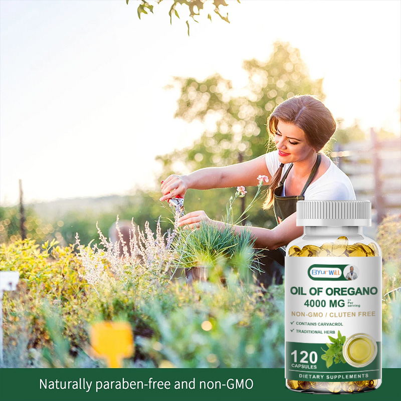 Oil of Oregano (4000 MG) – Exp - Health Wellness Day ulasan dan harga