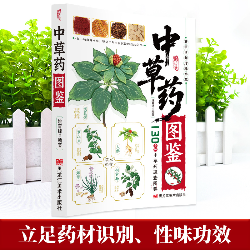 Illustrated Guide  Chinese Her - Health Wellness Guide ulasan dan harga