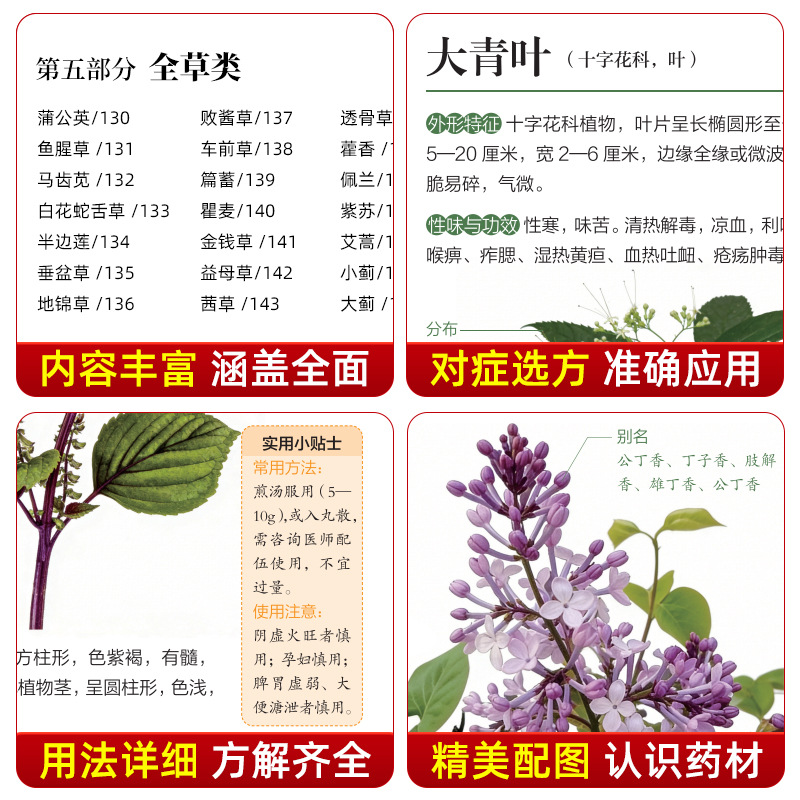 Illustrated Guide  Chinese Her - Health Wellness Guide ulasan dan harga