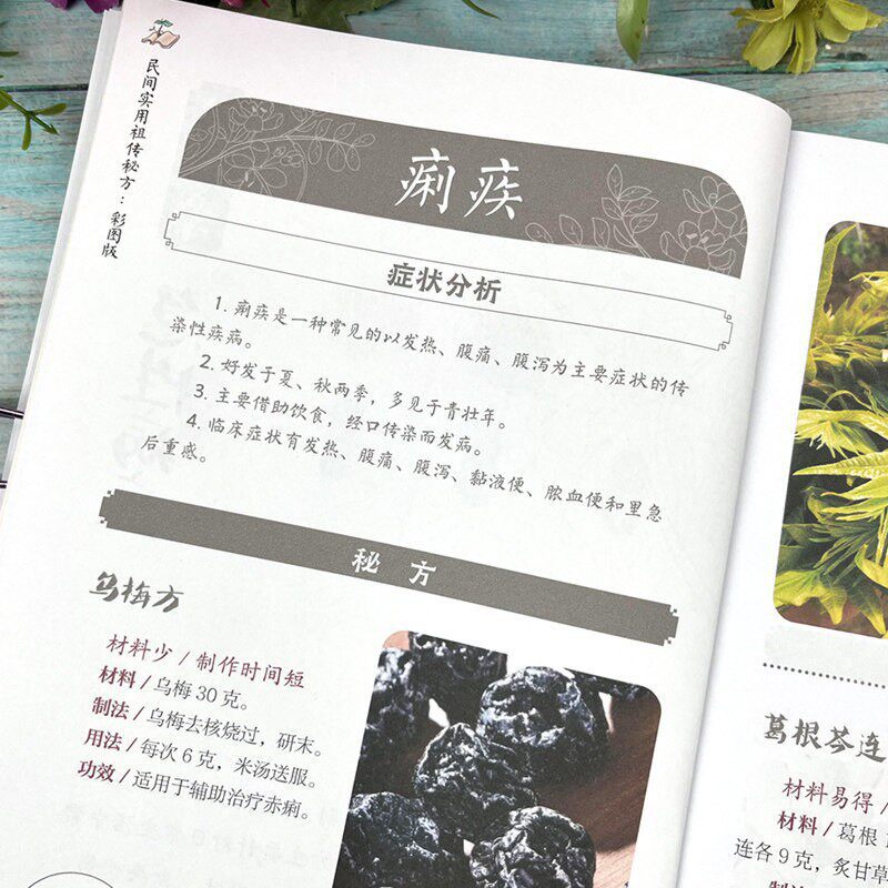 Folk Ancestral Remedies Book:  - Health Wellness Guide ulasan dan harga